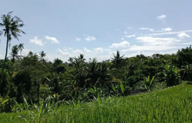For Sale Land in Bypass Ketewel, Along the Main Road