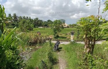 For Sale Land in Ubud, Surrounded by Villa Clusters