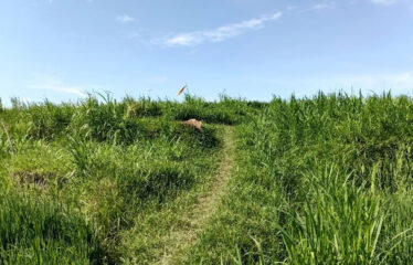 For Sale Land in Bypass Ketewel, Along the Main Road