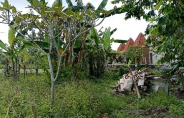 For Sale Land in Ubud, Surrounded by Villa Clusters