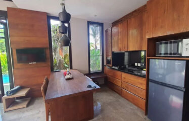 For Sale Seminyak Central Villa Near The Beach