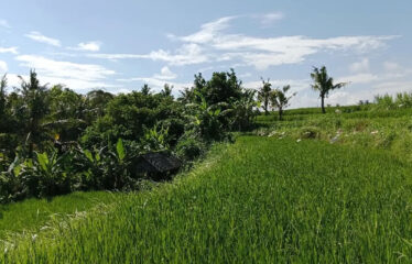 For Sale Land in Bypass Ketewel, Along the Main Road