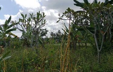 For Sale Land in Ubud, Surrounded by Villa Clusters