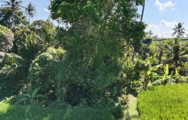 For Sale Land in Bypass Ketewel, Along the Main Road