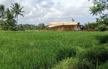 For Sale Land in Ubud, Surrounded by Villa Clusters