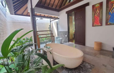 For Sale Seminyak Central Villa Near The Beach