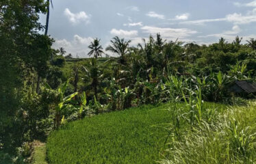 For Sale Land in Bypass Ketewel, Along the Main Road
