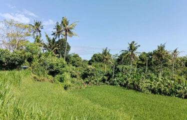 For Sale Land in Bypass Ketewel, Along the Main Road