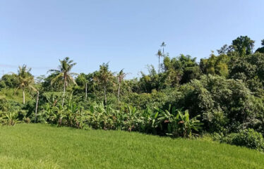 For Sale Land in Bypass Ketewel, Along the Main Road