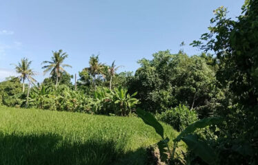 For Sale Land in Bypass Ketewel, Along the Main Road