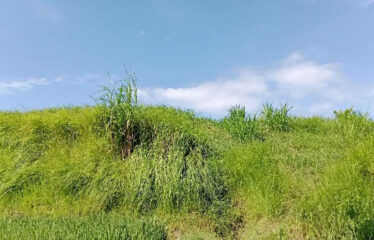 For Sale Land in Bypass Ketewel, Along the Main Road