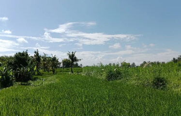 For Sale Land in Bypass Ketewel, Along the Main Road