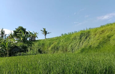For Sale Land in Bypass Ketewel, Along the Main Road