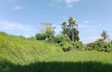 For Sale Land in Bypass Ketewel, Along the Main Road