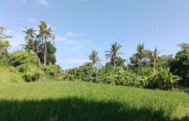 For Sale Land in Bypass Ketewel, Along the Main Road