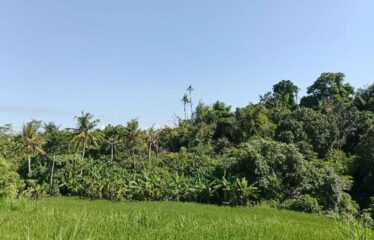 For Sale Land in Bypass Ketewel, Along the Main Road