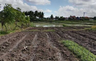 For Sale Land in Ubud, Surrounded by Villa Clusters