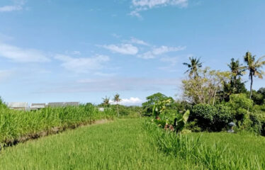 For Sale Land in Bypass Ketewel, Along the Main Road