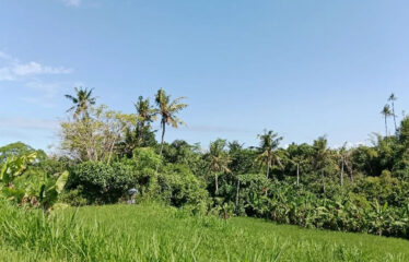 For Sale Land in Bypass Ketewel, Along the Main Road