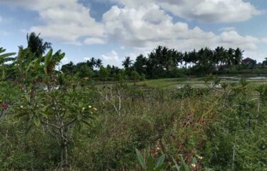 For Sale Land in Ubud, Surrounded by Villa Clusters
