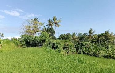 For Sale Land in Bypass Ketewel, Along the Main Road