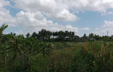 For Sale Land in Ubud, Surrounded by Villa Clusters