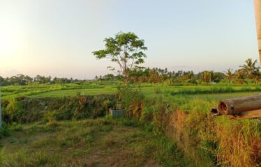 For Sale Land in Bypass IB Mantra