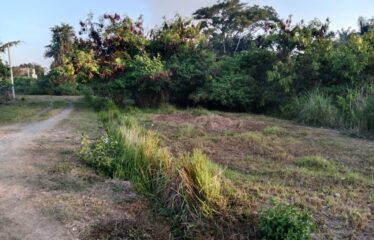 For Sale Land in Bypass Ketewel, Along the Main Road
