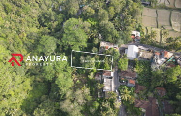Freehold Land For Sale In Keliki Ubud