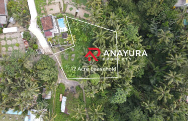 Leasehold Land Ubud
