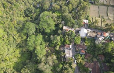 Freehold Land For Sale in Keliki Ubud