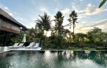 5 Bedroom Villa for Sale in Lovina Beachfront!