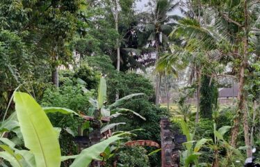 Leasehold land Ubud