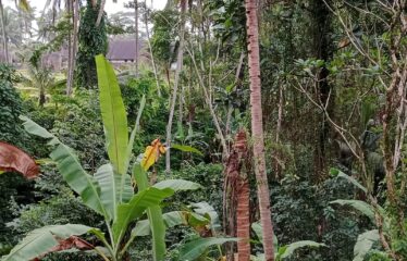 Leasehold land Ubud