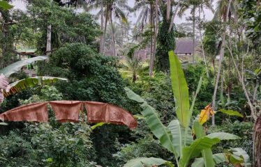 Leasehold land Ubud