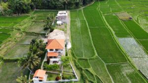 Land For Sale Close Ubud