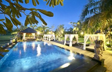 LUXURY VILLA IN DENPASAR CLOSE TO SANUR BEACH, RICEFIELDS VIEW.