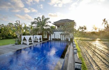 LUXURY VILLA IN DENPASAR CLOSE TO SANUR BEACH, RICEFIELDS VIEW.