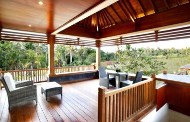 LUXURY VILLA IN DENPASAR CLOSE TO SANUR BEACH, RICEFIELDS VIEW.