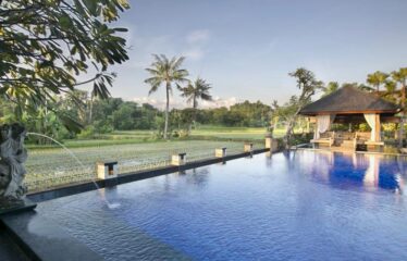LUXURY VILLA IN DENPASAR CLOSE TO SANUR BEACH, RICEFIELDS VIEW.