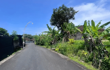 DIJUAL TANAH DI CANGGU TUMBAK BAYUH