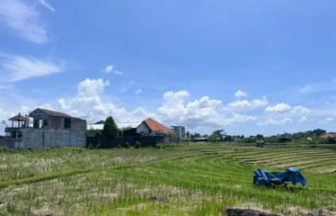 DIJUAL TANAH DI CANGGU TUMBAK BAYUH