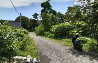 Dijual Tanah Lokasi Denpasar Barat, Gunung Talang, 3.6 Are.