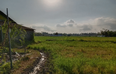 DIJUAL TANAH COCOK UNTUK GUDANG DAN USAHA