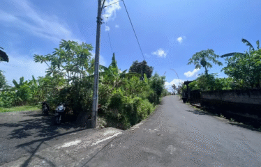 DIJUAL TANAH DI CANGGU TUMBAK BAYUH