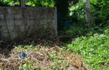 DIJUAL TANAH DI PUSAT KOTA TABANAN BUC