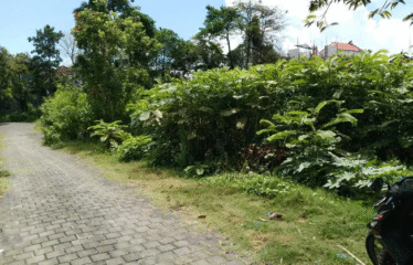 Dijual Tanah Lokasi Denpasar Barat, Gunung Talang, 3.6 Are.