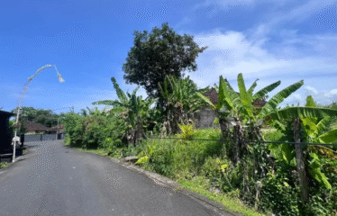 DIJUAL TANAH DI CANGGU TUMBAK BAYUH