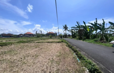 DIJUAL TANAH DI CANGGU TUMBAK BAYUH