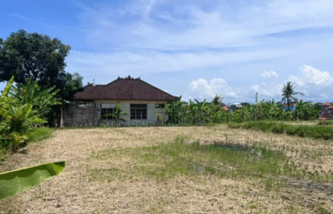 DIJUAL TANAH DI CANGGU TUMBAK BAYUH